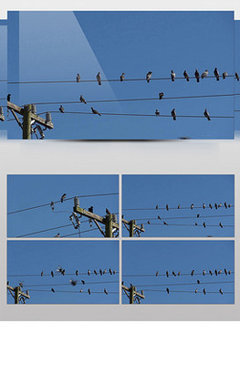 電線桿圖片素材與電纜設(shè)計(jì)模板 VIP素材資源集錦